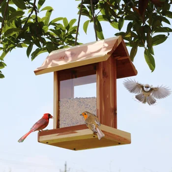 Cedrovine prostem podajalnik ptic vrtni okraski villa dvorišče vodilni ptice
