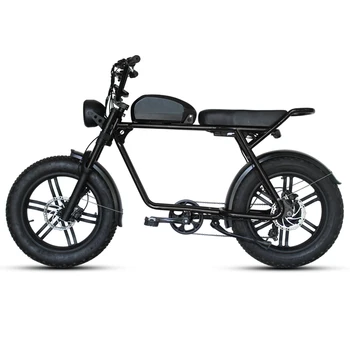 električna kolesa 750w/1000w zmogljiva litijeva baterija električno kolo 20 palčni jekla okvir prilagojene e kolo